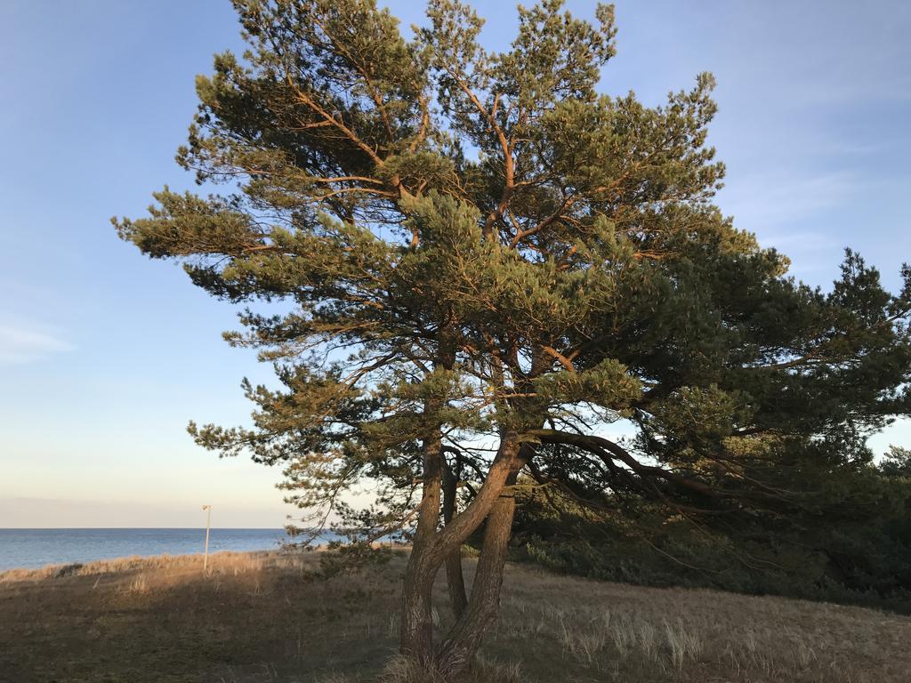 Zum Nordstrand Преров Екстериор снимка